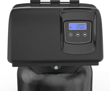 Fleck 2815 SXT Control Valve | All For Water
