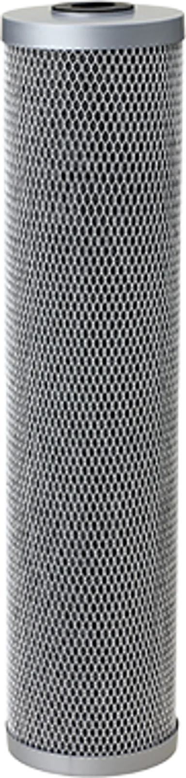 FloPlus Protect 20BB Cartridge - PFAS Water Filter | Pentair