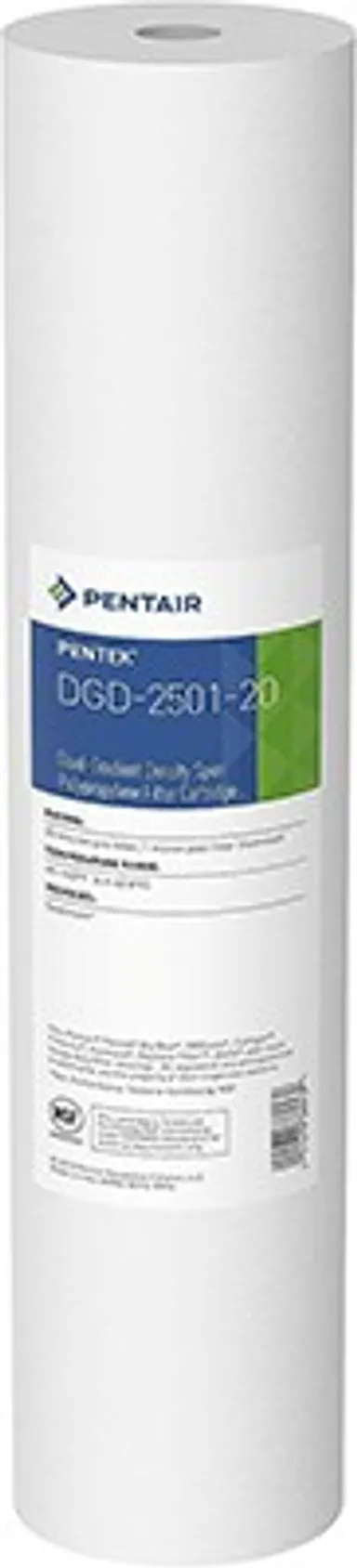Pentek DGD-2501-20 Sediment Filter 25/1 Micron | 155360-43