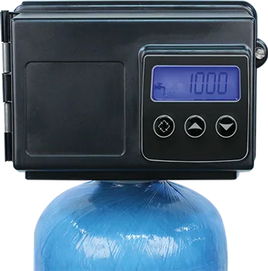 Fleck 2510 SXT Valve | All For Water