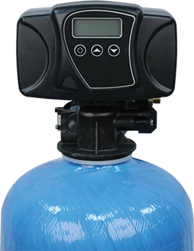 Fleck 56SXT Backwash Filter Time Clock | All For Water